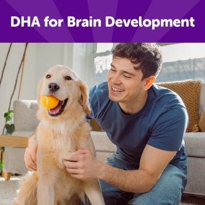 Show full view: Wellness Rewarding Life Chicken & Venison Grain-Free Soft & Chewy Dog Treats, 6-oz bag slide 4 of 11