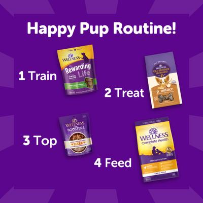 Show full view: Wellness The Rewarding Life Lamb & Salmon Soft & Chewy Natural Dog Treats, 6-oz bag slide 9 of 11