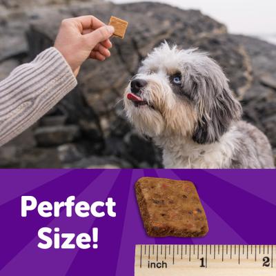 Show full view: Wellness Rewarding Life Beef & Turkey Grain-Free Soft & Chewy Natural Dog Treats, 6-oz bag slide 5 of 11