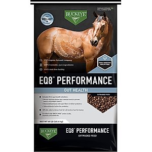 Buckeye Nutrition EQ8 Performance Gut Health Horse Feed, 40-lb bag