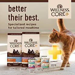 Wellness CORE+ Grain-Free Pate Chicken & Chicken Liver Sampler Pack Wet Cat Food, 3-oz can, case of 4 slide 2 of 7