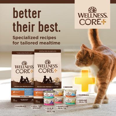 Show full view: Wellness CORE+ Indoor Grain-Free Chicken & Chicken Liver Pate Wet Cat Food, 5.5-oz, case of 24 slide 8 of 11