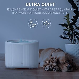 INSTACHEW Purrflow Smart Dog & Cat Water Fountain, White, 2-L