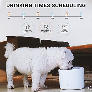 INSTACHEW Purrflow Smart Dog & Cat Water Fountain, White, 2-L