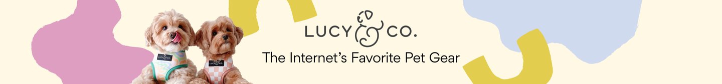 Lucy & Co. The Internet's Favorite Pet Gear