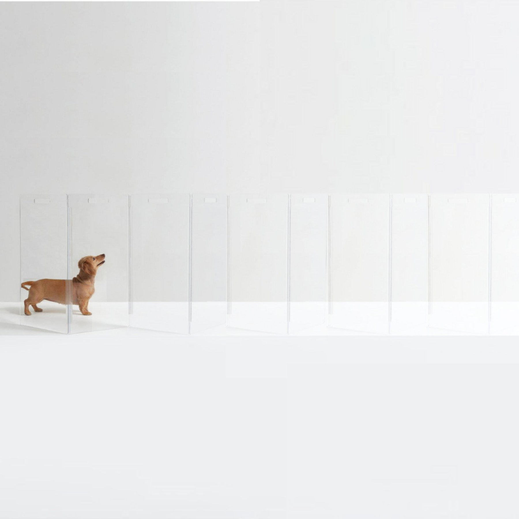 Hiddin Tall Clear View Zig Zag Freestanding Dog & Cat Gate, 10-Panel