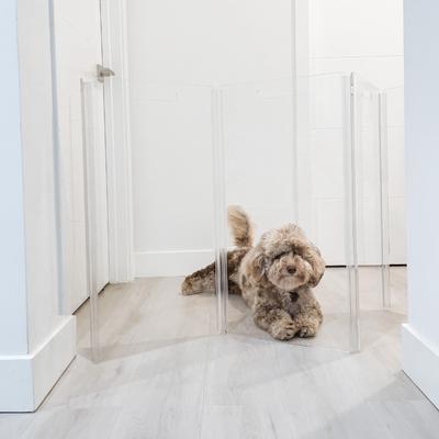 Show full view: Hiddin Tall Clear View Zig Zag Freestanding Dog & Cat Gate, 8-Panel slide 6 of 10