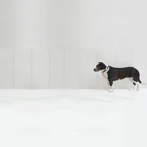 HIDDIN Tall Clear View Zig Zag Freestanding Dog & Cat Gate, 8