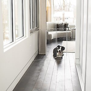 Hiddin Tall Clear View Zig Zag Freestanding Dog & Cat Gate, 4-Panel