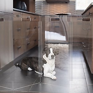 Hiddin Tall Clear View Zig Zag Freestanding Dog & Cat Gate, 4-Panel