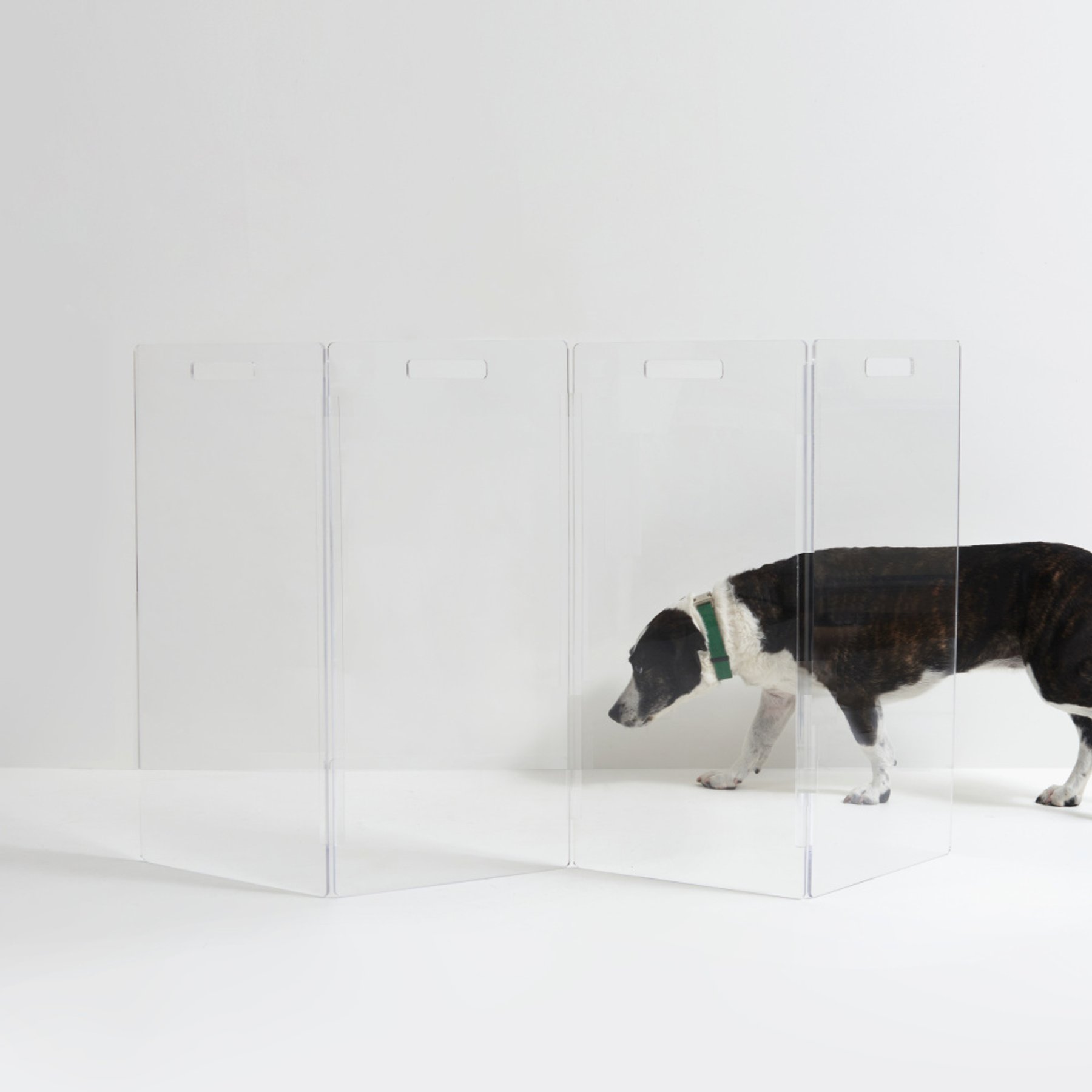 Hiddin Tall Clear View Zig Zag Freestanding Dog & Cat Gate, 4-Panel