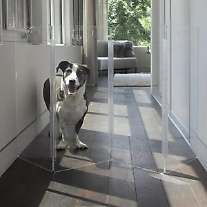 Hiddin Tall Clear View Zig Zag Freestanding Dog & Cat Gate, 4-Panel