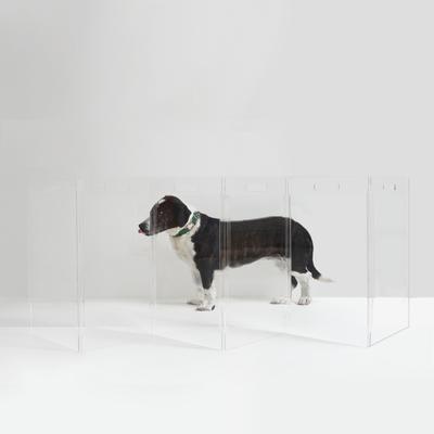 Show full view: Hiddin Low Clear View Zig Zag Freestanding Dog & Cat Gate, 6-panel, 90 x 0.25 x 24-in slide 3 of 6