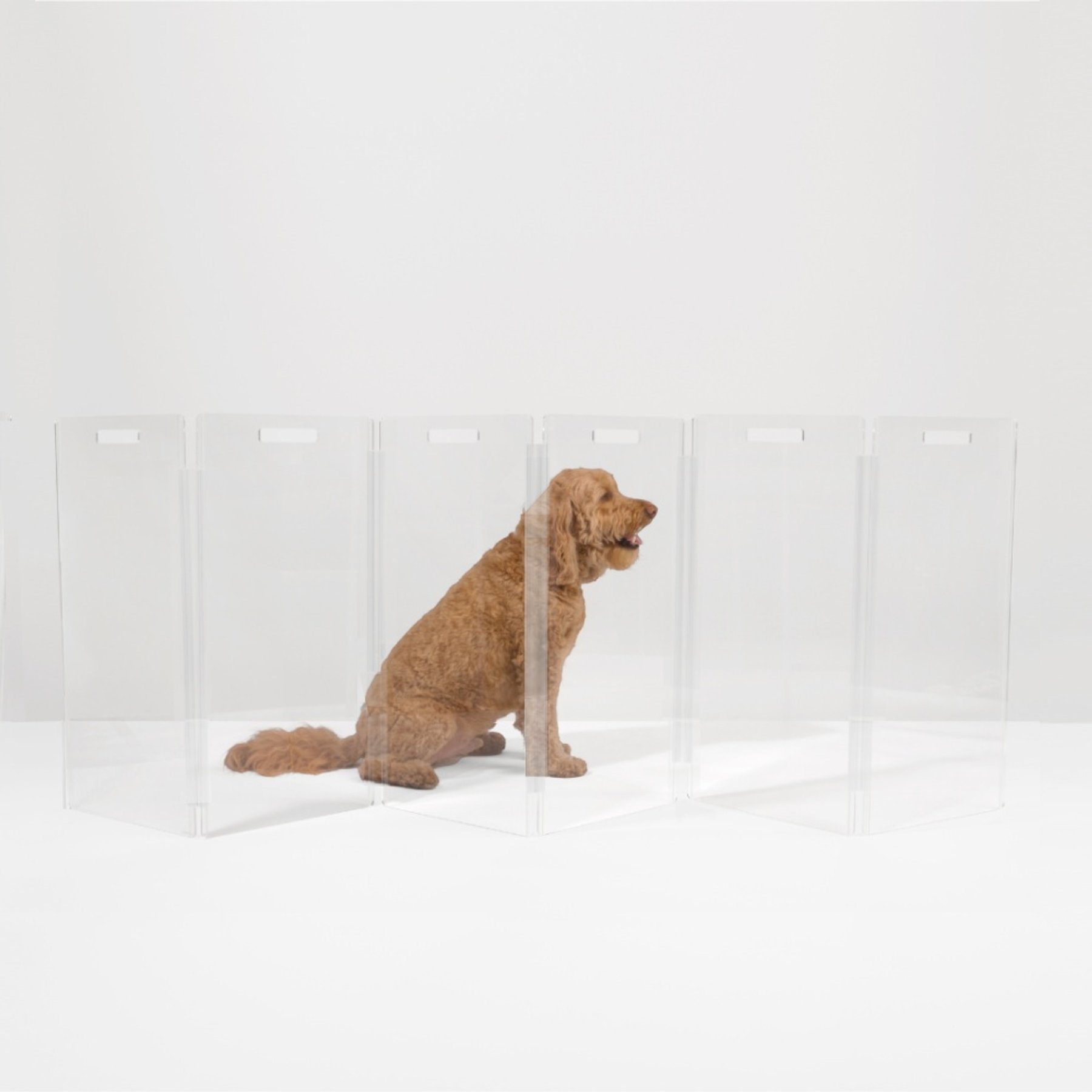 Hiddin Low Clear View Zig Zag Freestanding Dog & Cat Gate, 6-panel, 90 x 0.25 x 24-in