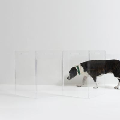Show full view: Hiddin Low Clear View Zig Zag Freestanding Dog & Cat Gate, 4-panel, 60 x 0.25 x 24-in slide 8 of 10