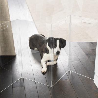 Show full view: Hiddin Low Clear View Zig Zag Freestanding Dog & Cat Gate, 4-panel, 60 x 0.25 x 24-in slide 6 of 10