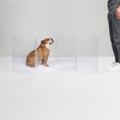 Show full view: Hiddin Low Clear View Zig Zag Freestanding Dog & Cat Gate, 4-panel, 60 x 0.25 x 24-in slide 3 of 10