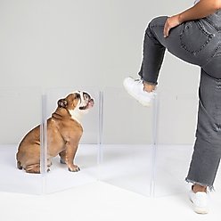 Hiddin Low Clear View Zig Zag Freestanding Dog & Cat Gate, 4-panel, 60 x 0.25 x 24-in
