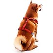 Show in main carousel: Littlearth NCAA Velvet Pet Harness, Arizona Wildcats, Large slide 3 of 5