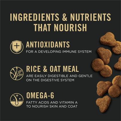 Purina Pro Plan Kitten Sensitive Skin & Stomach Salmon & Rice Formula Dry Cat Food