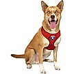 Show in main carousel: Littlearth NCAA Velvet Pet Harness, Arizona Wildcats, Large slide 2 of 5