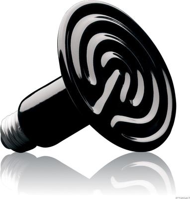 Show full view: Exo Terra Ceramic Reptile Heater Bulb, 150-watt slide 3 of 4