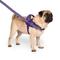 Show in main carousel: Canada Pooch Redirect Dog Harness, Purple/Lavender, Large slide 6 of 6