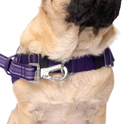 Show full view: Canada Pooch Redirect Dog Harness, Purple/Lavender, Large slide 3 of 6