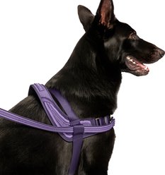 Canada Pooch Redirect Dog Harness, Purple/Lavender, Large