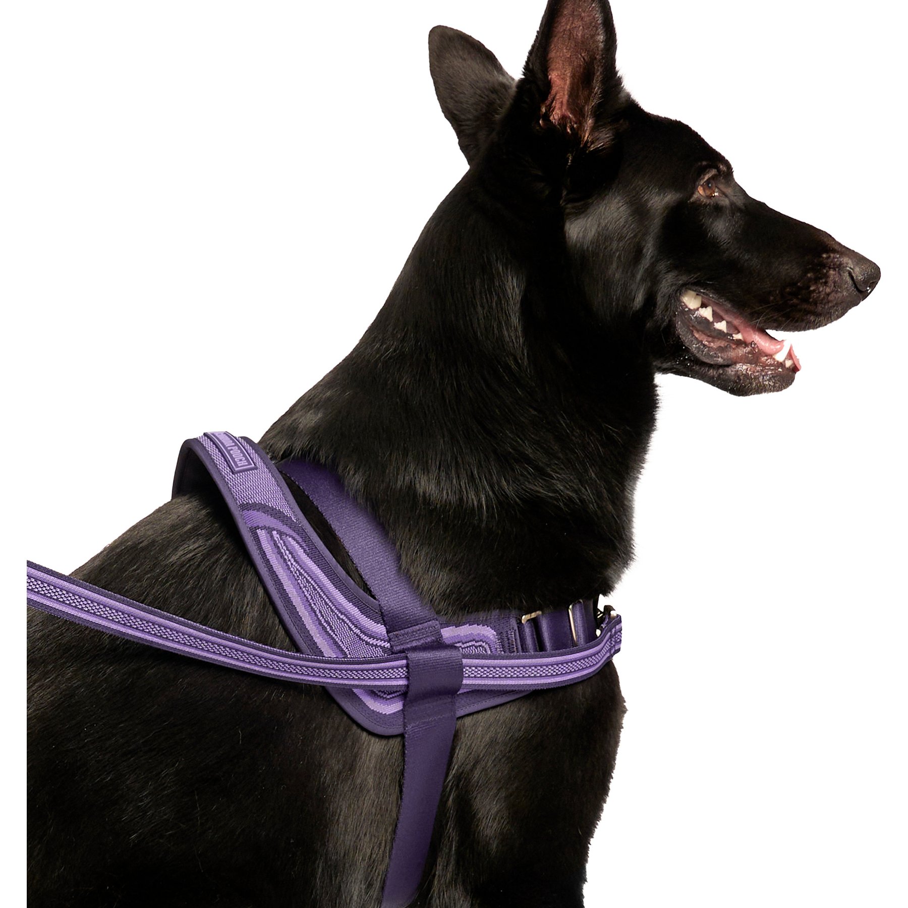 Canada Pooch Redirect Dog Harness, Purple/Lavender, Small