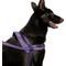 Show in main carousel: Canada Pooch Redirect Dog Harness, Purple/Lavender, Large slide 1 of 6