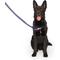 Show in main carousel: Canada Pooch Redirect Dog Harness, Purple/Lavender, Large slide 4 of 6