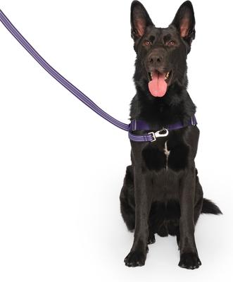 Show full view: Canada Pooch Redirect Dog Harness, Purple/Lavender, Large slide 4 of 6