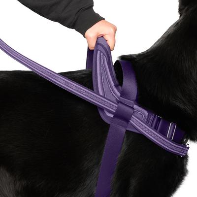 Show full view: Canada Pooch Redirect Dog Harness, Purple/Lavender, Large slide 2 of 6
