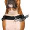 Show in main carousel: Canada Pooch Redirect Dog Harness, Black/Grey, Medium slide 4 of 7