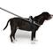 Show in main carousel: Canada Pooch Redirect Dog Harness, Black/Grey, Medium slide 7 of 7