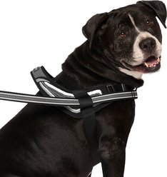Canada Pooch Redirect Dog Harness, Black/Grey, X-Large