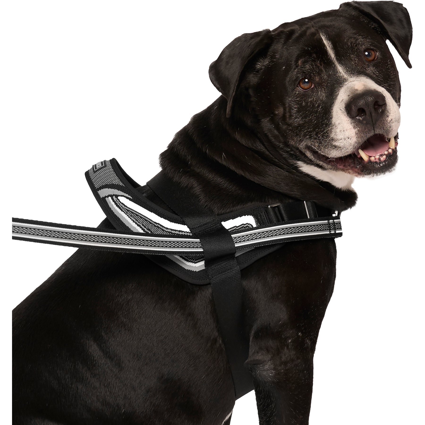 Canada Pooch Redirect Dog Harness, Black/Grey, Small