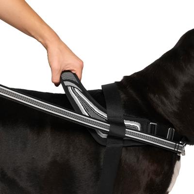 Show full view: Canada Pooch Redirect Dog Harness, Black/Grey, Medium slide 3 of 7