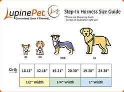 LupinePet Original Designs Sand Shark Step In Dog Harness, Small: 12 to 18-in chest, 1/2-in wide slide 2 of 6