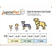 Show in main carousel: LupinePet Original Designs Tail Feathers Step In Dog Harness, Medium/Large: 20 to 30-in chest, 3/4-in wide slide 2 of 7