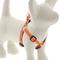 Show in main carousel: LupinePet Reflective Diamonds Step In Dog Harness, Orange Diamond, Small: 12 to 18-in chest slide 1 of 6