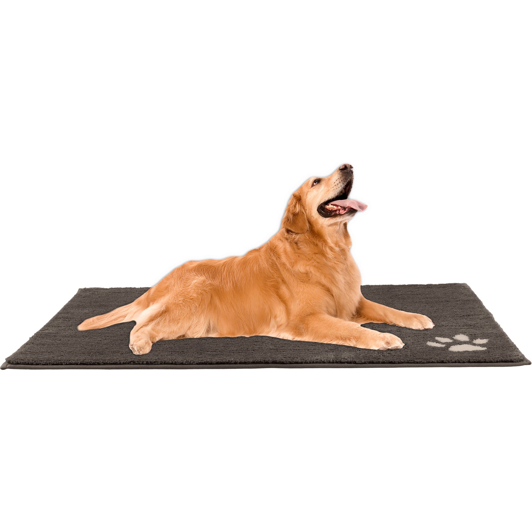 Pet Adobe Dog Door Mat for Muddy Paws, 60 x 36-in, Gray, X-Large