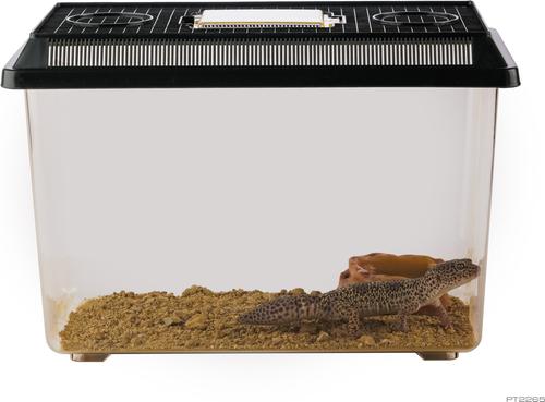 Show full view: Exo Terra Faunarium Reptile Habitat, Large slide 2 of 5