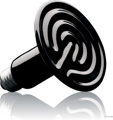 Show full view: Exo Terra Ceramic Reptile Heater Bulb, 100-watt slide 3 of 4