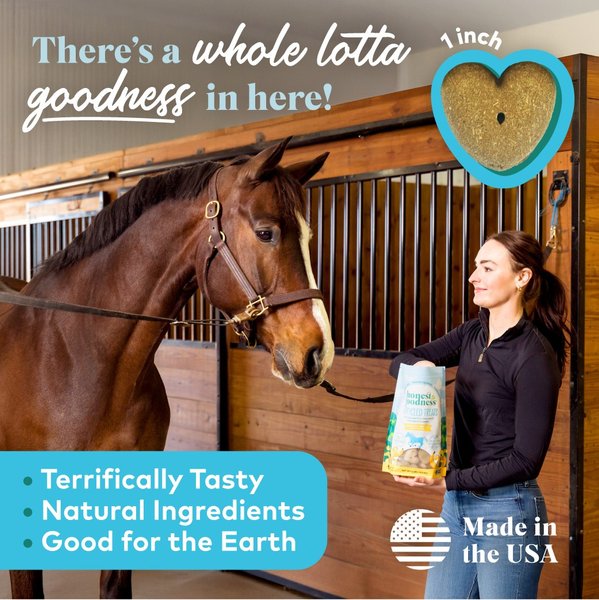 Show full view: Honest To Goodness Upcycled Horse Treats, Banana, 2-lb bag slide 3 of 7
