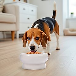 P.T. Supply Co. Abstract Bubble Shaped Stoneware Elevated Dog & Cat Bowl, White slide 2 of 8