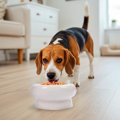 Show full view: P.T. Supply Co. Abstract Bubble Shaped Stoneware Elevated Dog & Cat Bowl, White slide 8 of 8