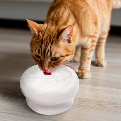 P.T. Supply Co. Abstract Bubble Shaped Stoneware Elevated Dog & Cat Bowl