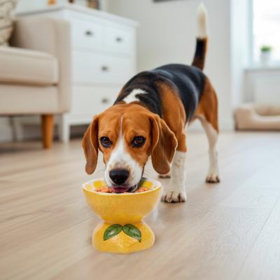 Show full view: P.T. Supply Co. Lemon Shaped Stoneware Elevated Dog & Cat Bowl, Yellow slide 8 of 9